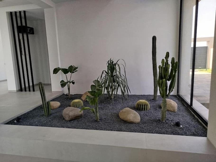 Moderne Au Sein Du Golf Amelkis Villa *